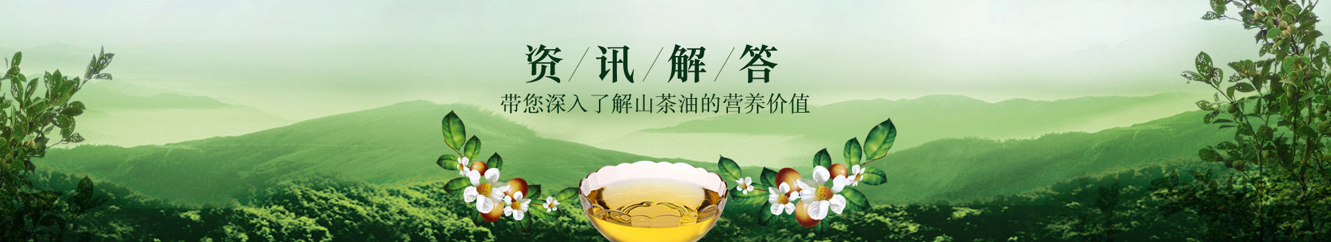 精裝山茶油